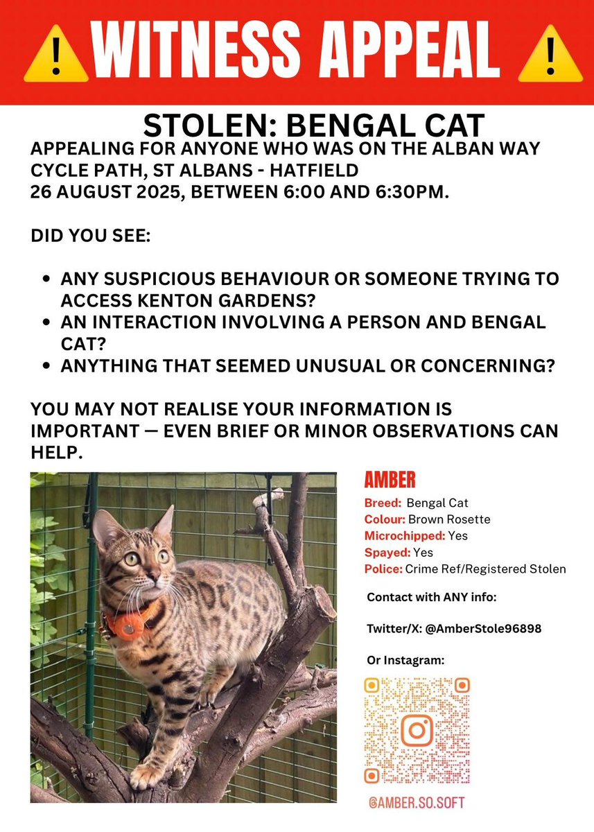 Missing Pets GB tweet media