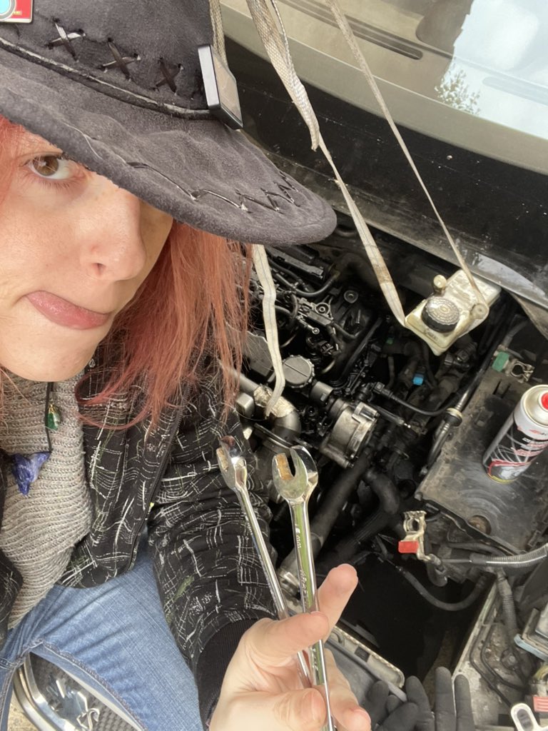 Nash Merwolf 🐠 tweet media