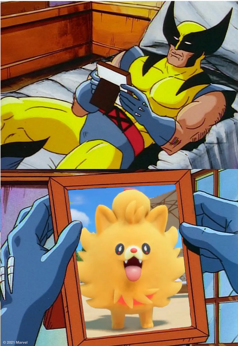 WFriedrich_VT's tweet image. Me when I go to bed every night.
#Pombon #PokemonWindsWaves