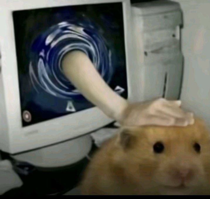 햄톨이 tweet media