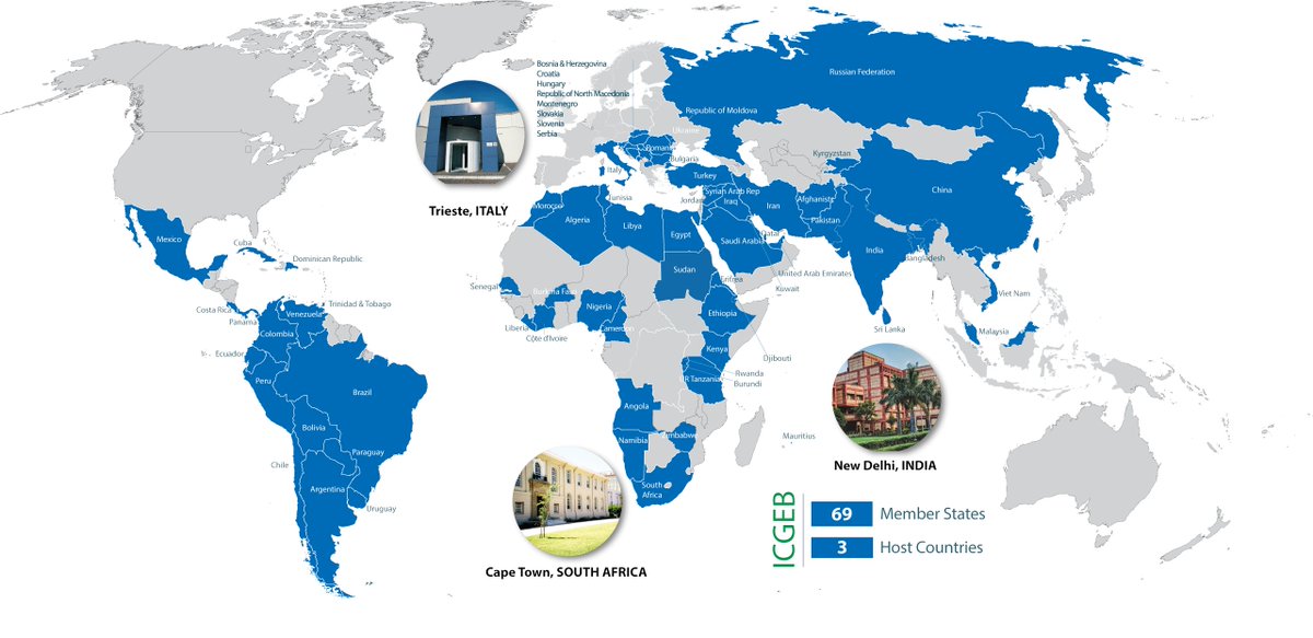 afroscientric's tweet photo. 📢 Become a SMART Fellow! 

-For life science researchers
Access mobility across @ICGEB member countries to develop skills through hands-on training in new technologies as you collaborate between your laboratory &amp; your host's lab.

Deadline: March 31, 2026
https://t.co/EsS6iqVqbc https://t.co/jr3WiUl7Rb
