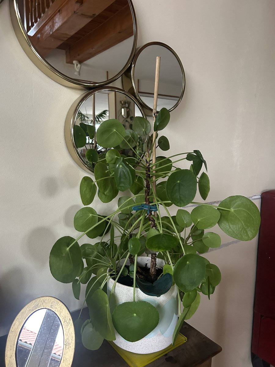 Mabouille tweet media