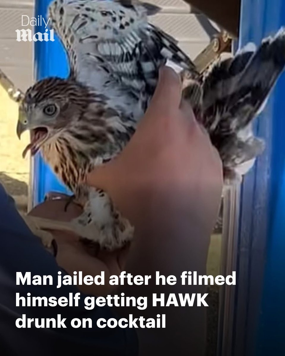 dominic dyer tweet media