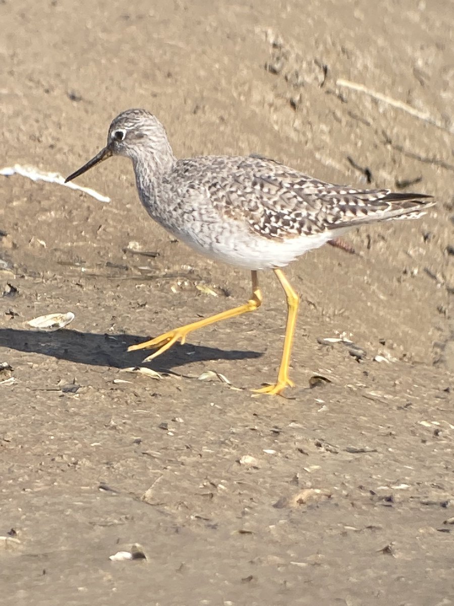 Mark Bailey tweet media