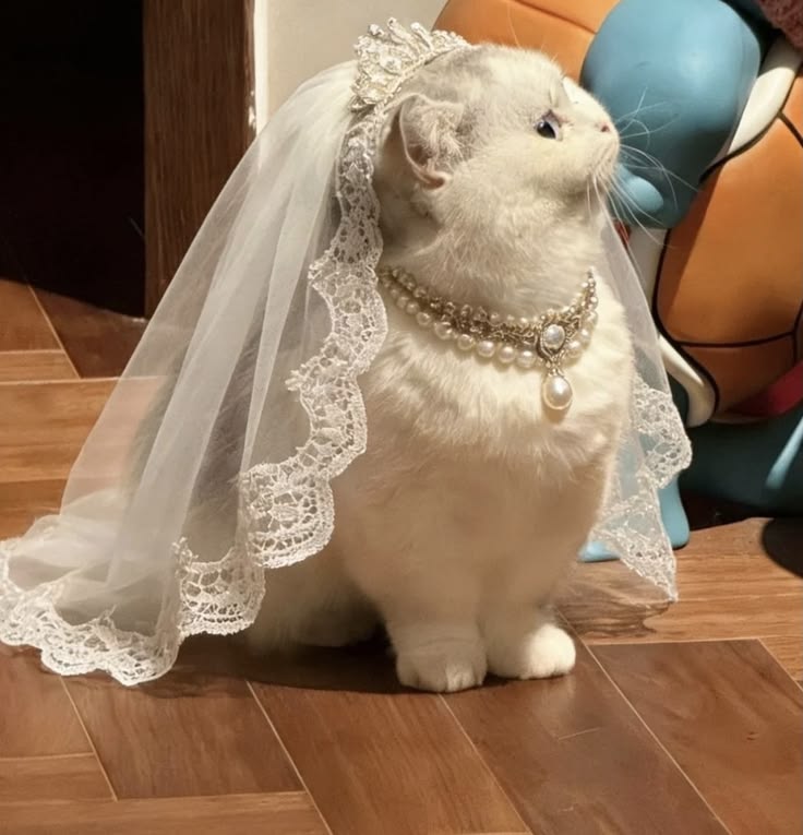 Here comes the bride 👰‍♀️❤️