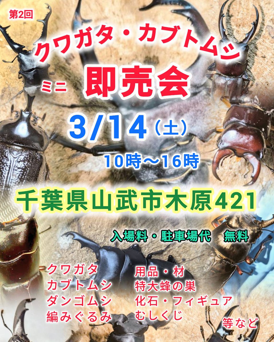 ローゼンYUI (@poruteri64) / Posts and Replies / X