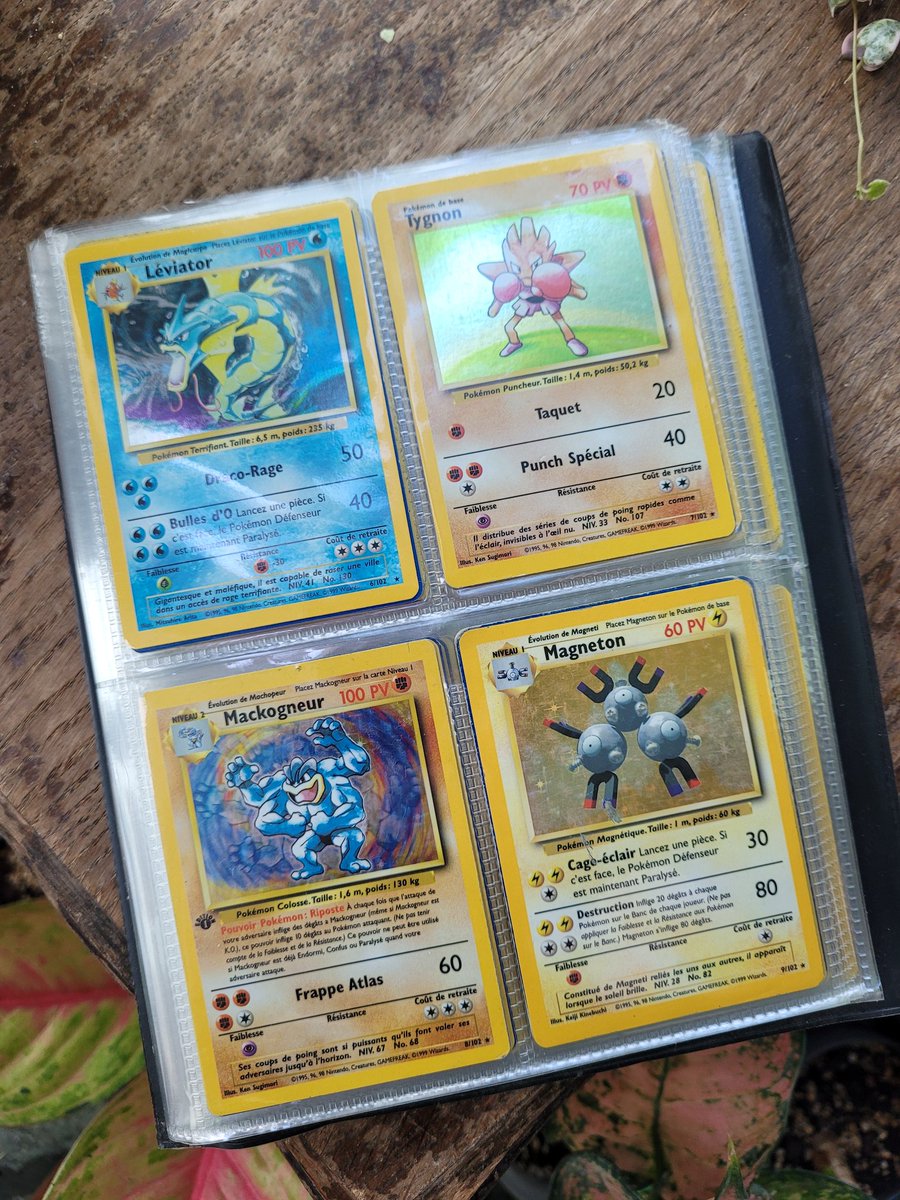 Ginie 🌿🌸 tweet media