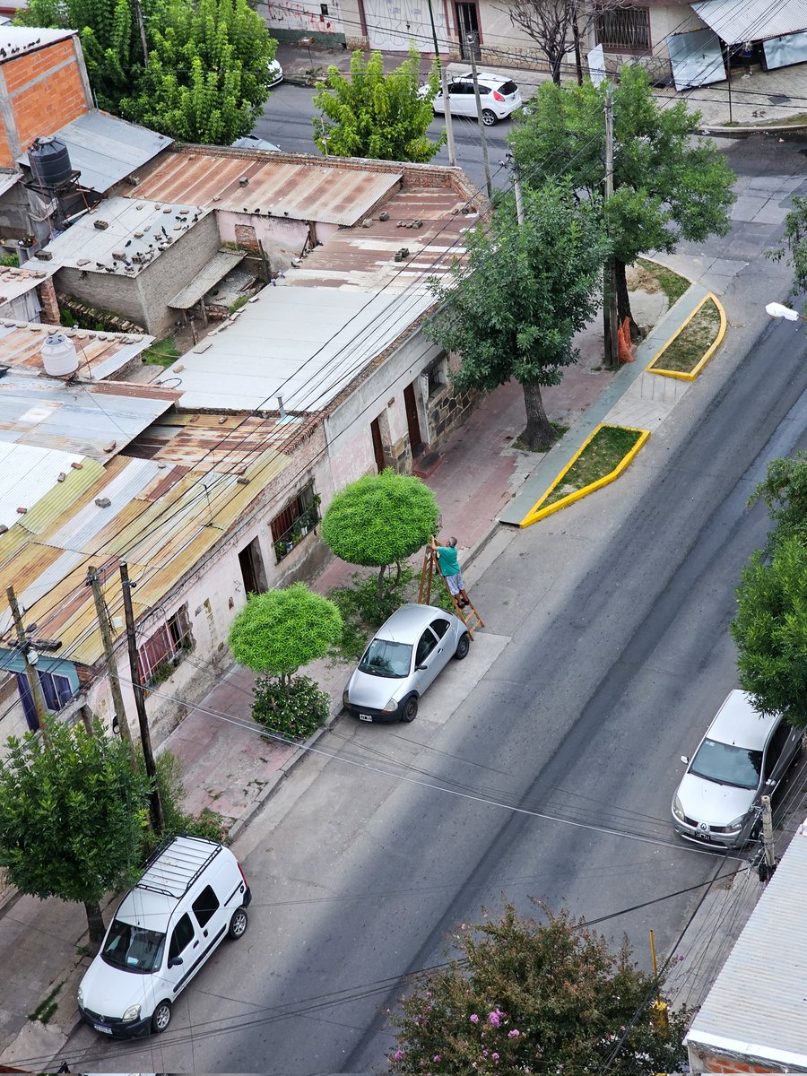 saltenials tweet media