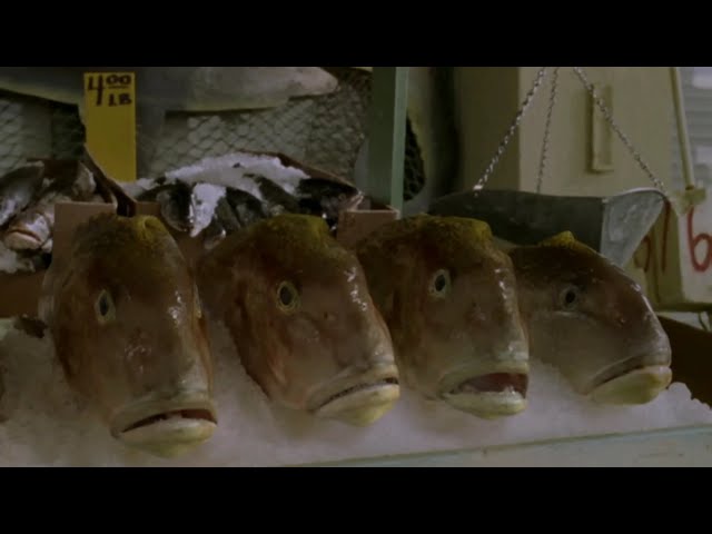 Jack Carter tweet media