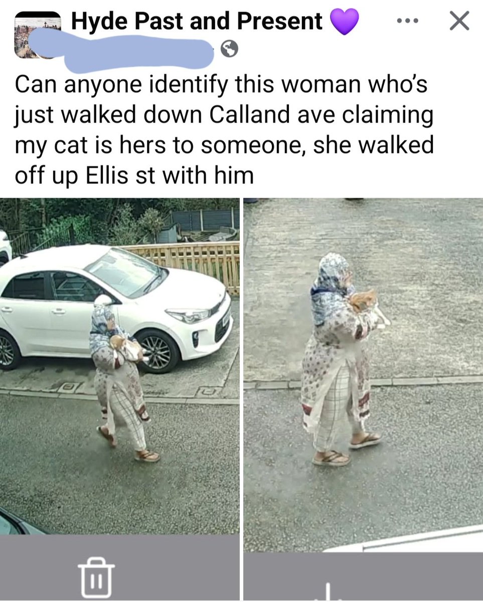 Stealing cats now <a href="/TRobinsonNewEra/">Tommy Robinson 🇬🇧</a> <a href="/RupertLowe10/">Rupert Lowe MP</a>