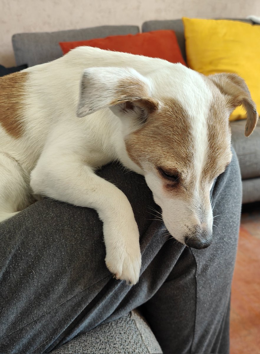 Thierry en~Liberté~✒️ tweet media