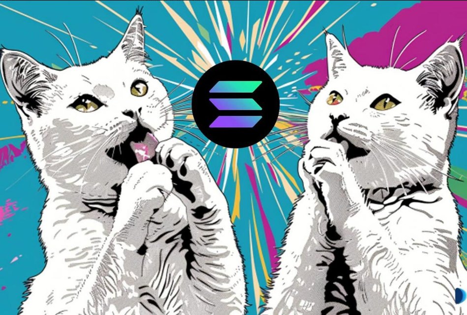 Solana's ecosystem is popping off with high-speed transactions and low fees. POPCAT, the viral cat meme coin, is clawed its way to new highs with community-driven hype! Don't miss the pop! #Solana #POPCAT