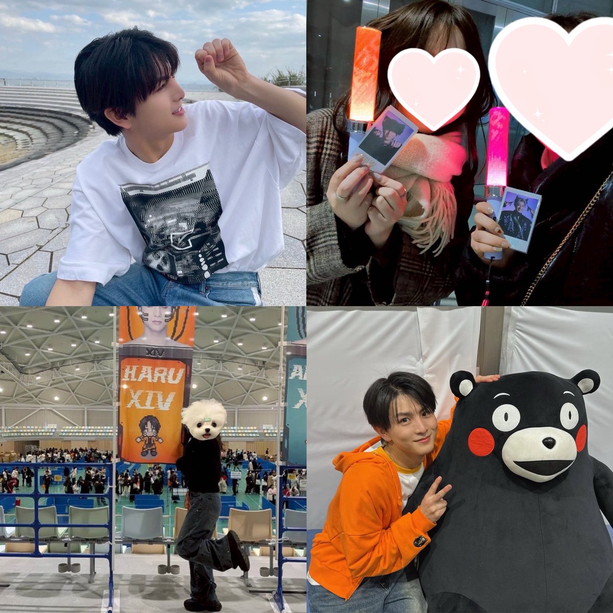 のんまる🚅🧡🩷 tweet media