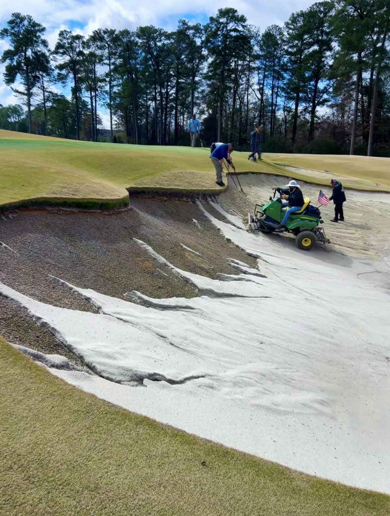 aldo 🇺🇸 tweet media