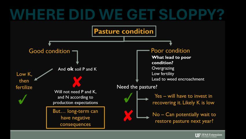 UF/IFAS Panhandle Ag tweet media