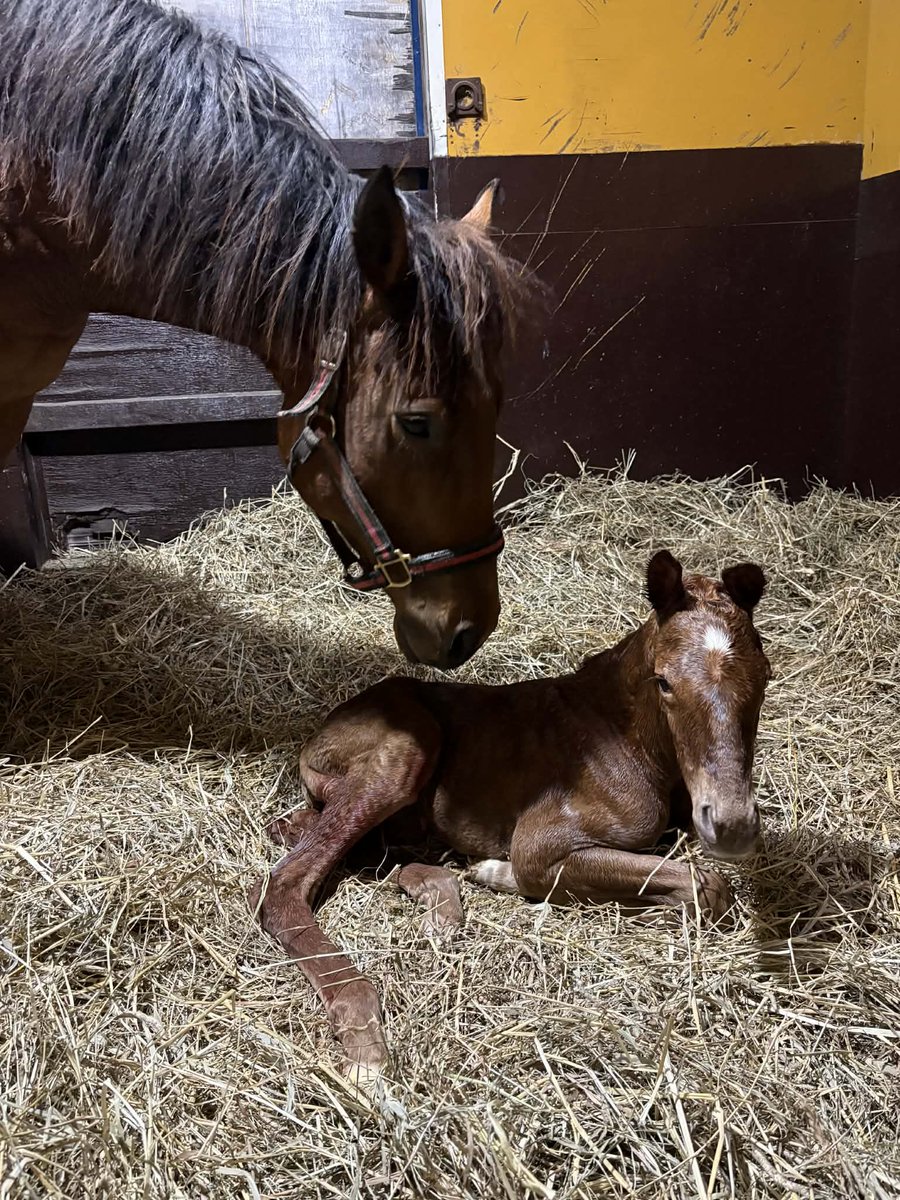 ぎゃー 可愛い🥺🥺 そして、嬉しいお知らせ🥺🥺