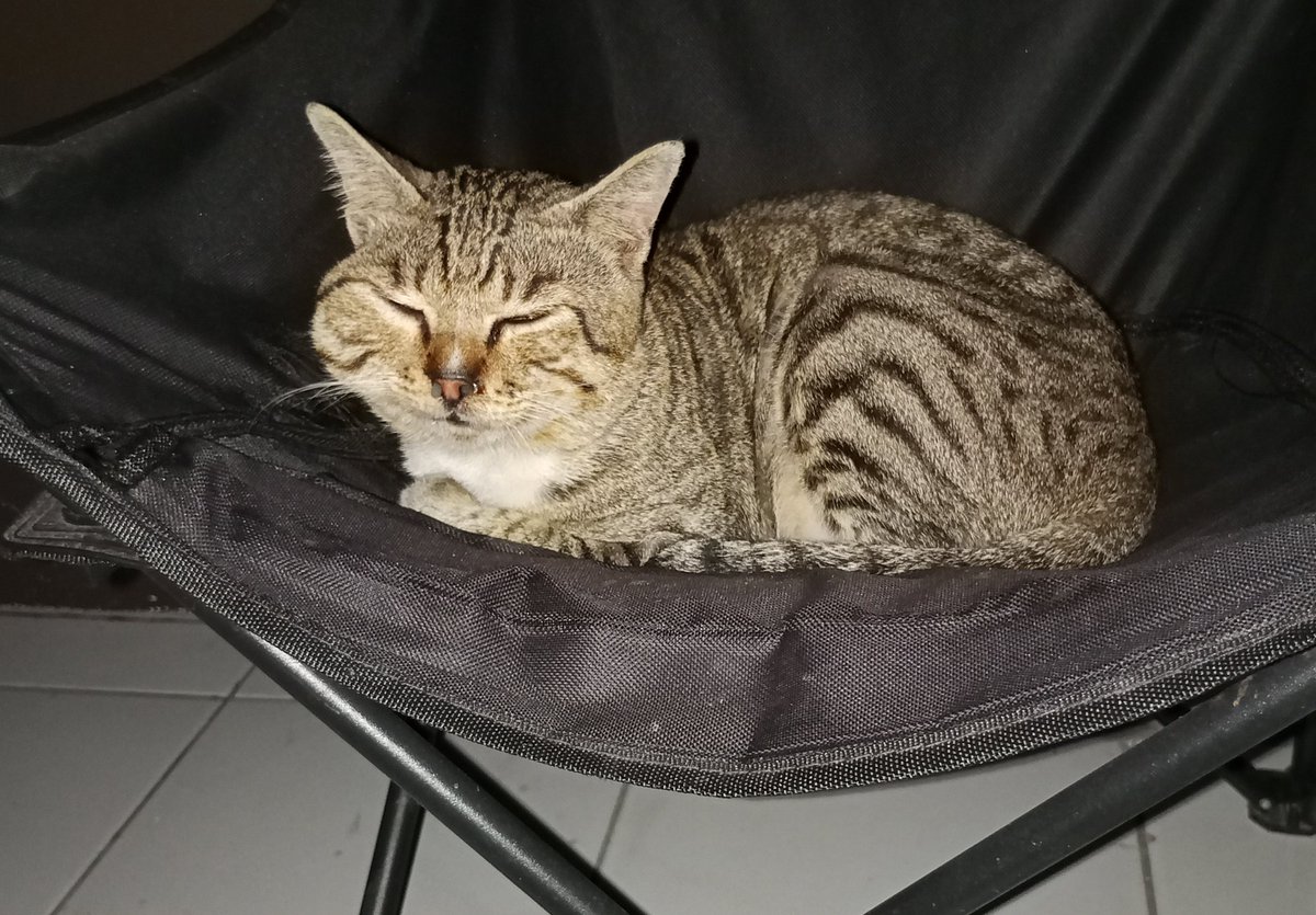 si Ebes, geus aya-aya wae da.