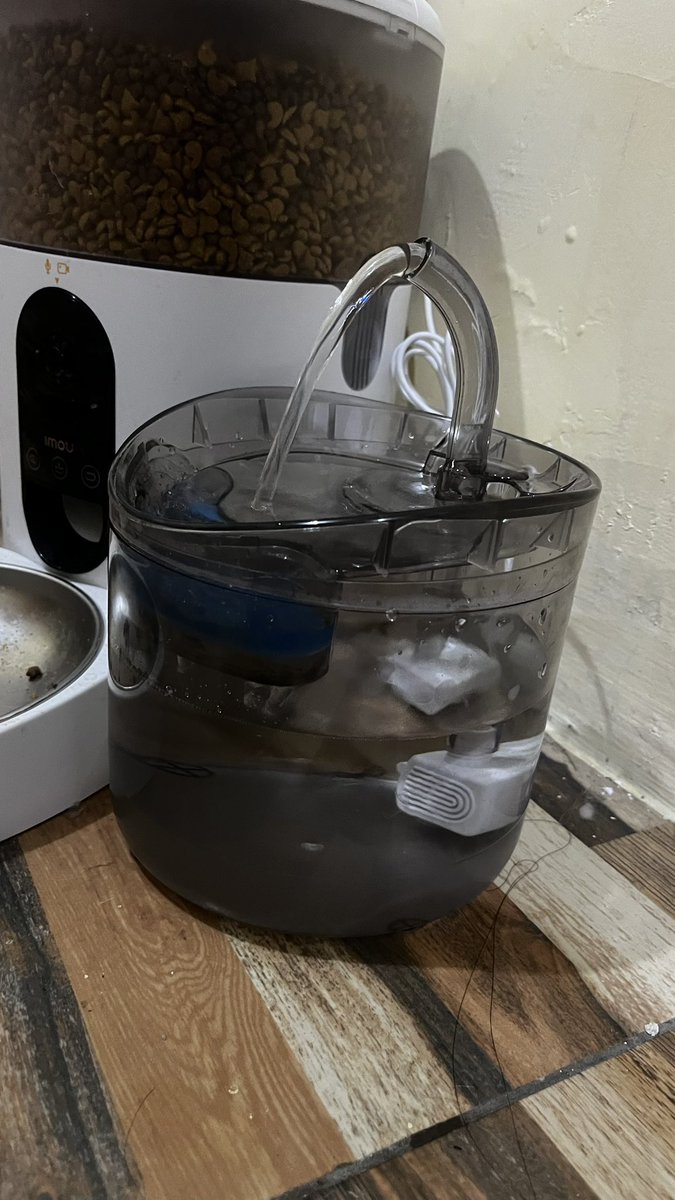 Rare jual koin fish it tweet media