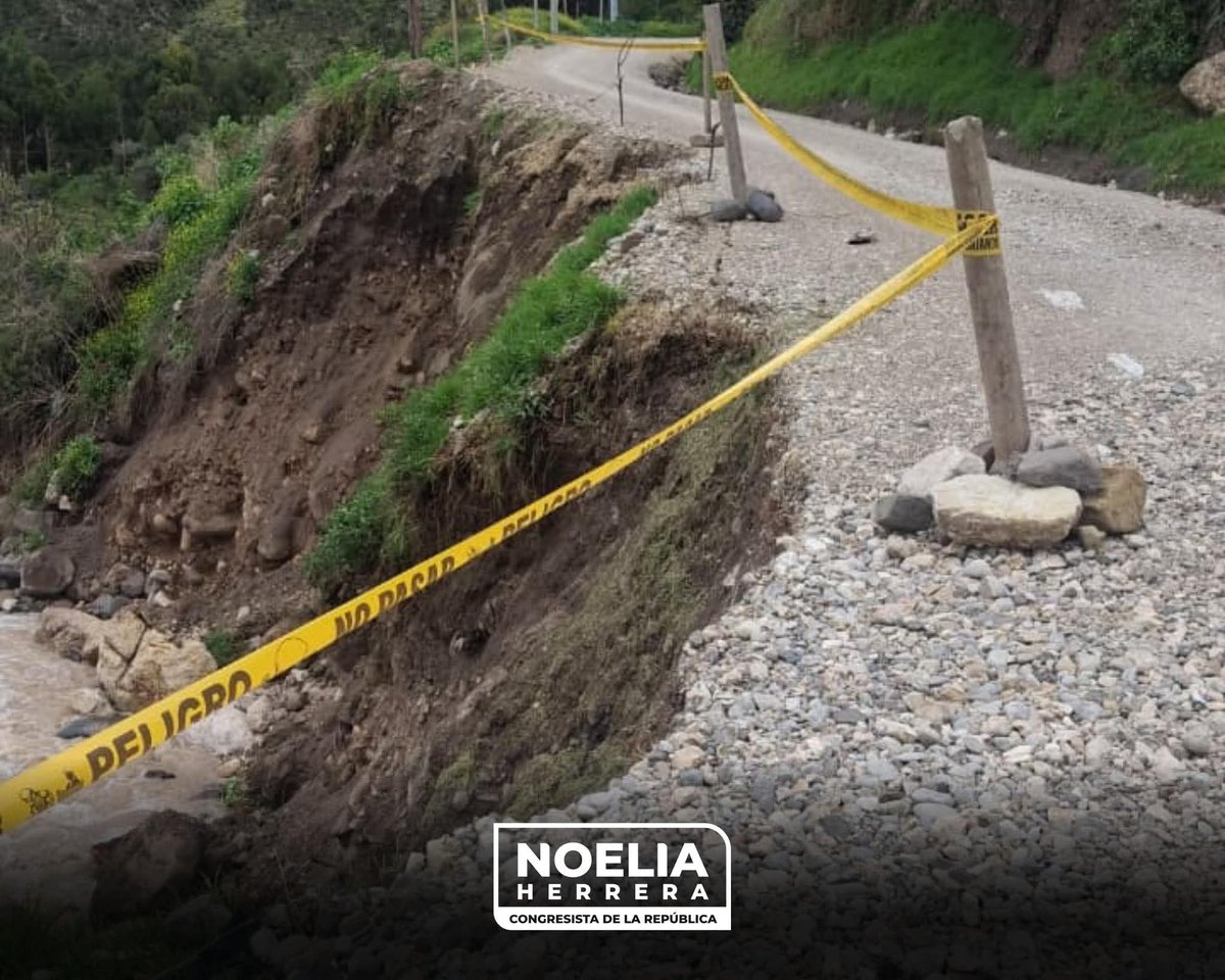 Noelia Herrera tweet media