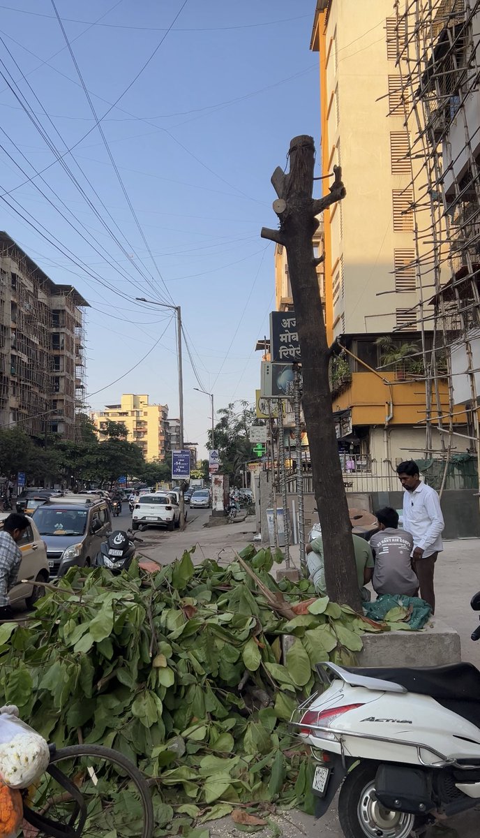 TrigunAmit's tweet photo. Only tree cut #savetree https://t.co/hoft0fDyxZ