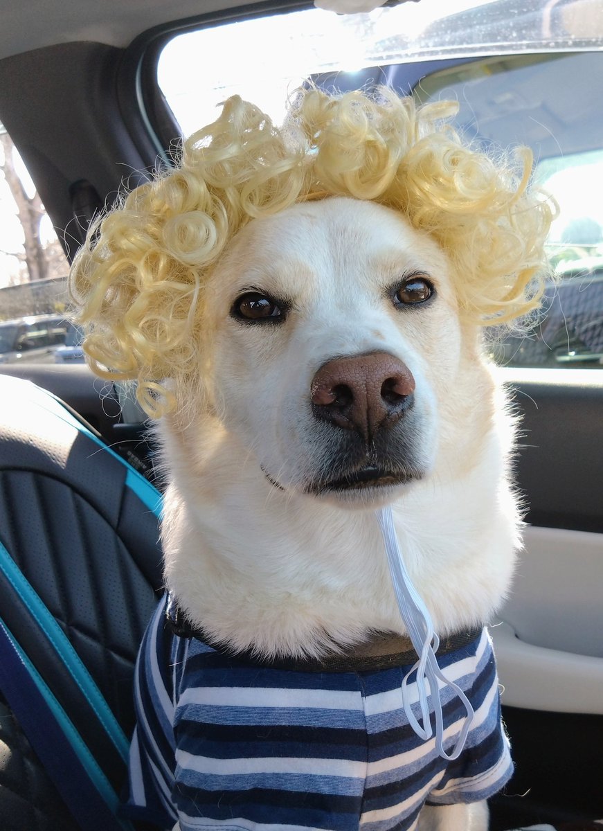 マリリン・トロワです👄