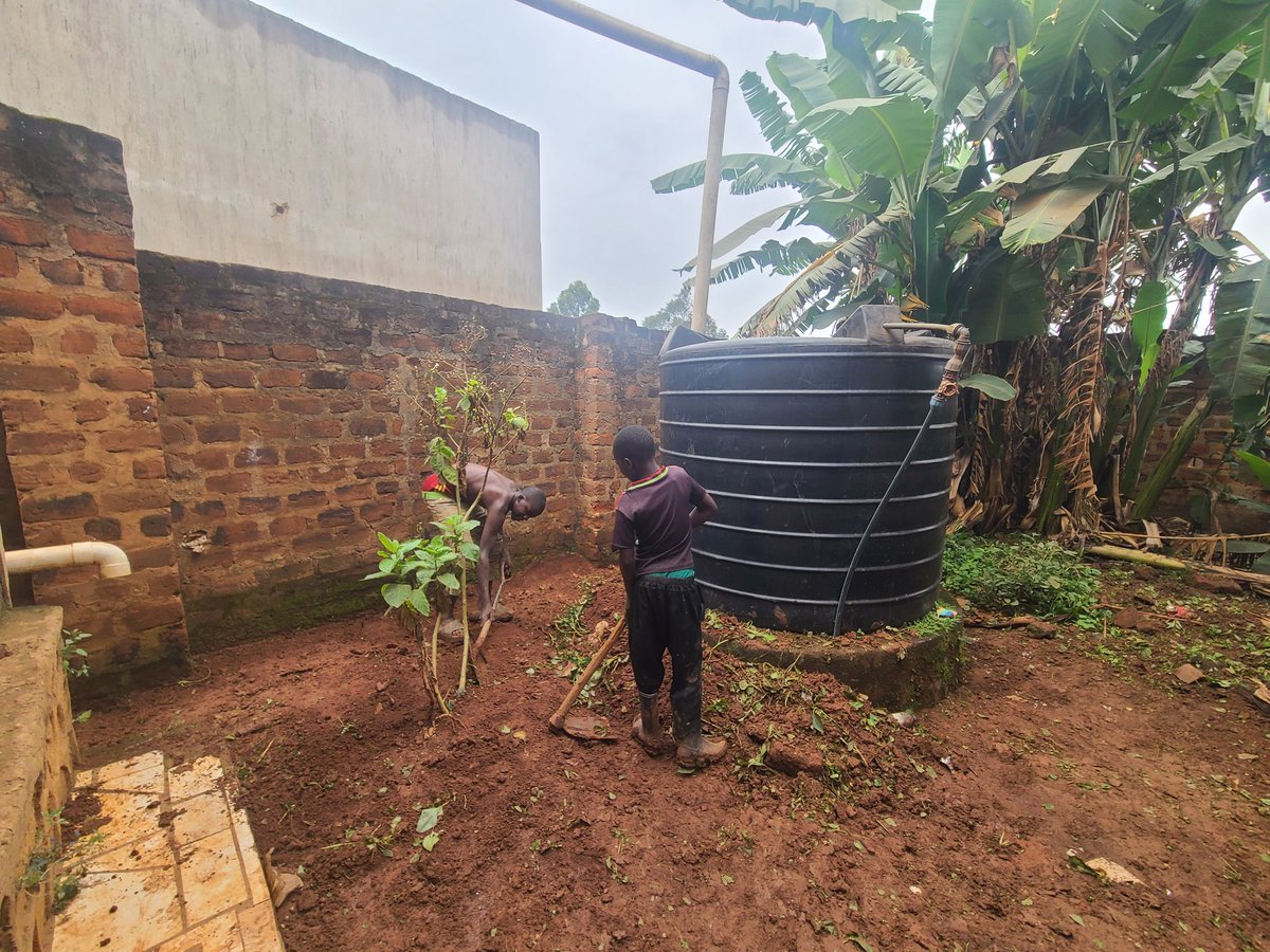 Gabriel Buule tweet media