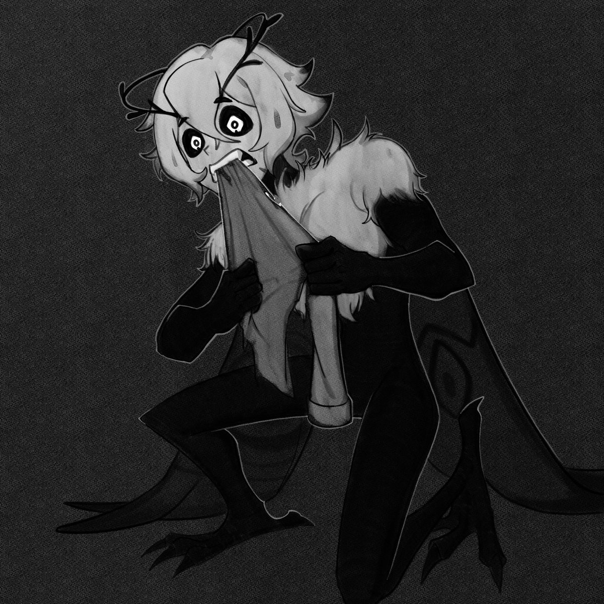 Compadrito tweet media