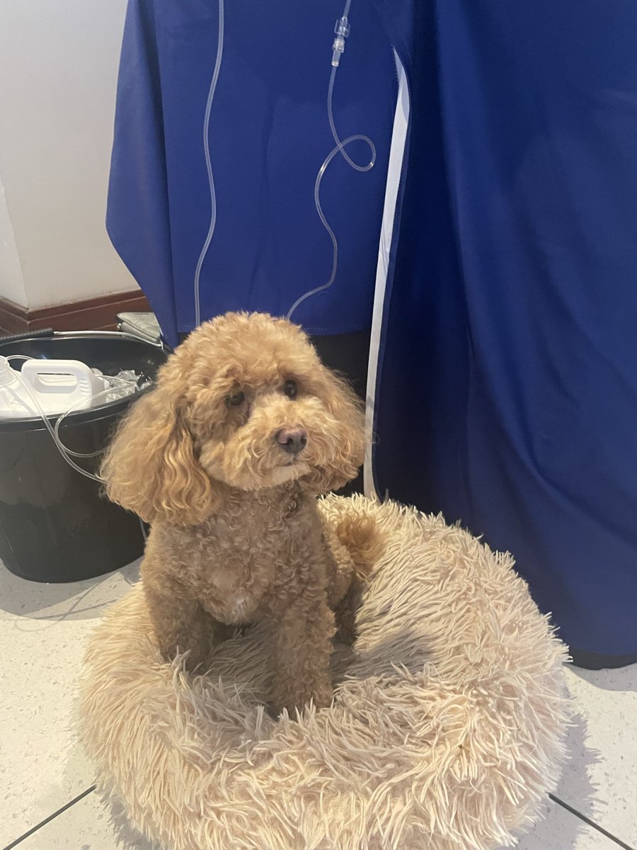 Jake Cowen tweet media