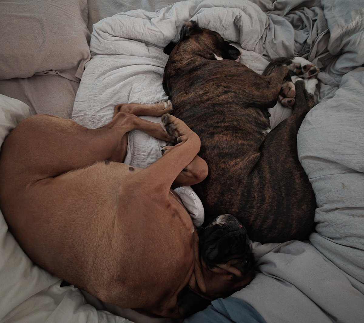 Meanwhile...

these hookers.