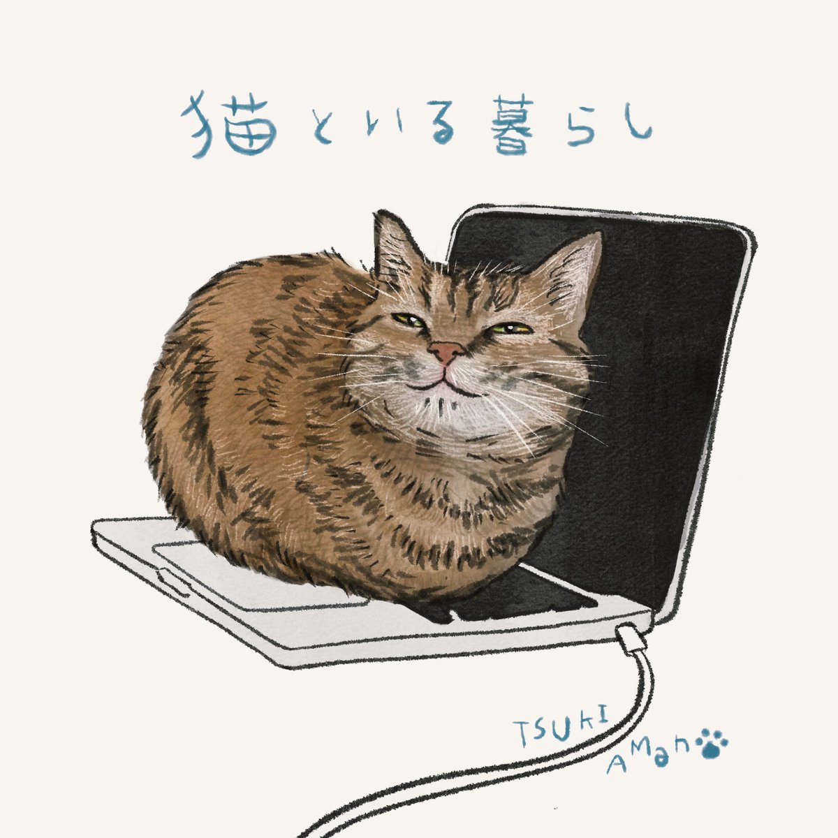 Tsuki_Amano's tweet photo. 【📣告知】
25周年記念ミニアルバム『花蝶風月』
アコースティックアルバム『猫といる暮らし』
2026年4月25日(土)
2枚同時リリース‼️

⬇️花蝶風月
https://t.co/JpPso9yaK5

【収録楽曲】
怪獣／花一匁／Gravity-風月ver.-／人間失格-花蝶ver.-／うつし絵『零〜紅い蝶〜REMAKE』追加ED曲)／プリズム

⬇️猫といる暮らし
https://t.co/0jGhqCIUk6

【収録楽曲】
静寂／ロックンロール・スター／刺青／空中散歩／トライアングル／ライオン／HATE CRIME／38℃(新曲)

予約特典：各ステッカー(2種)

予約受付開始：3月1日(日)0時より