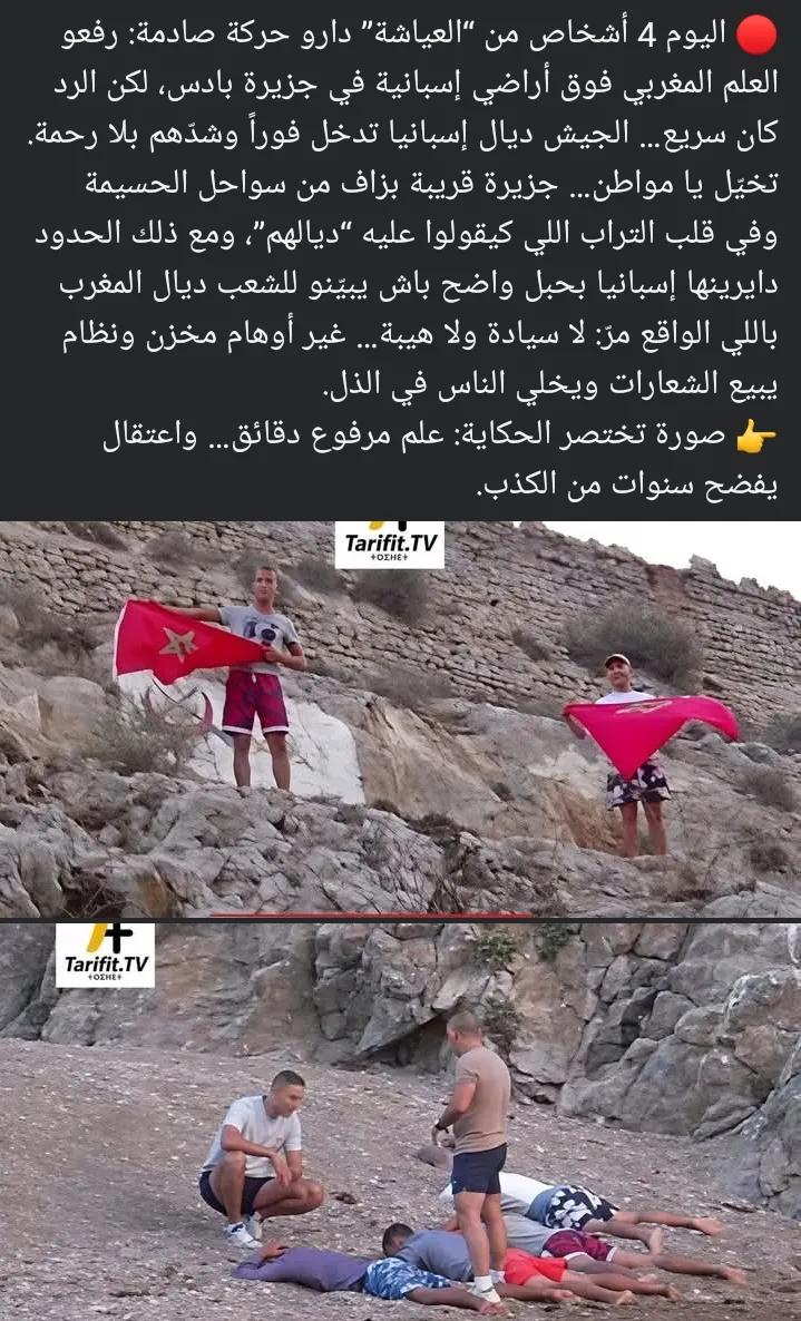 Papillons 85 tweet media