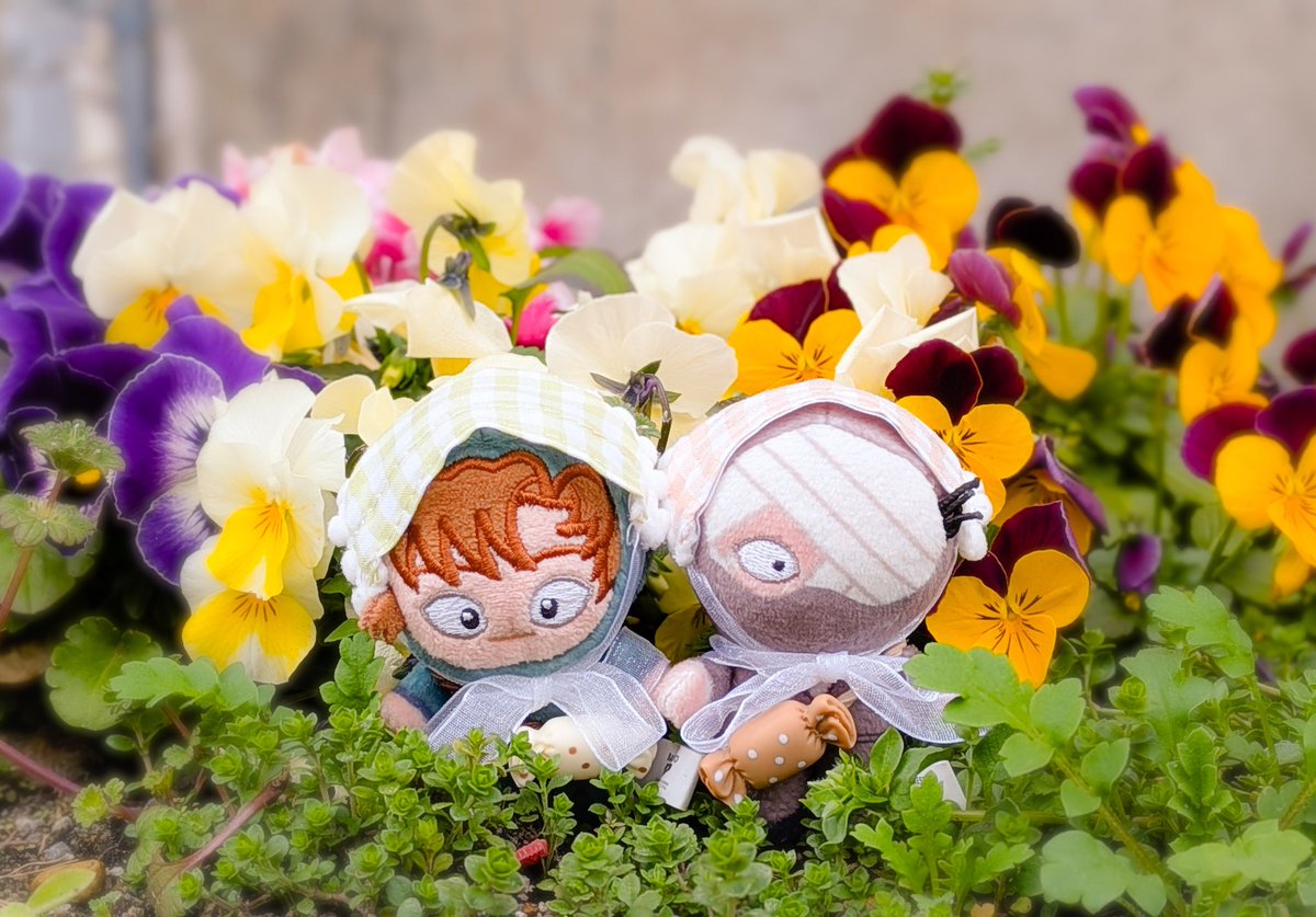 あばら tweet media