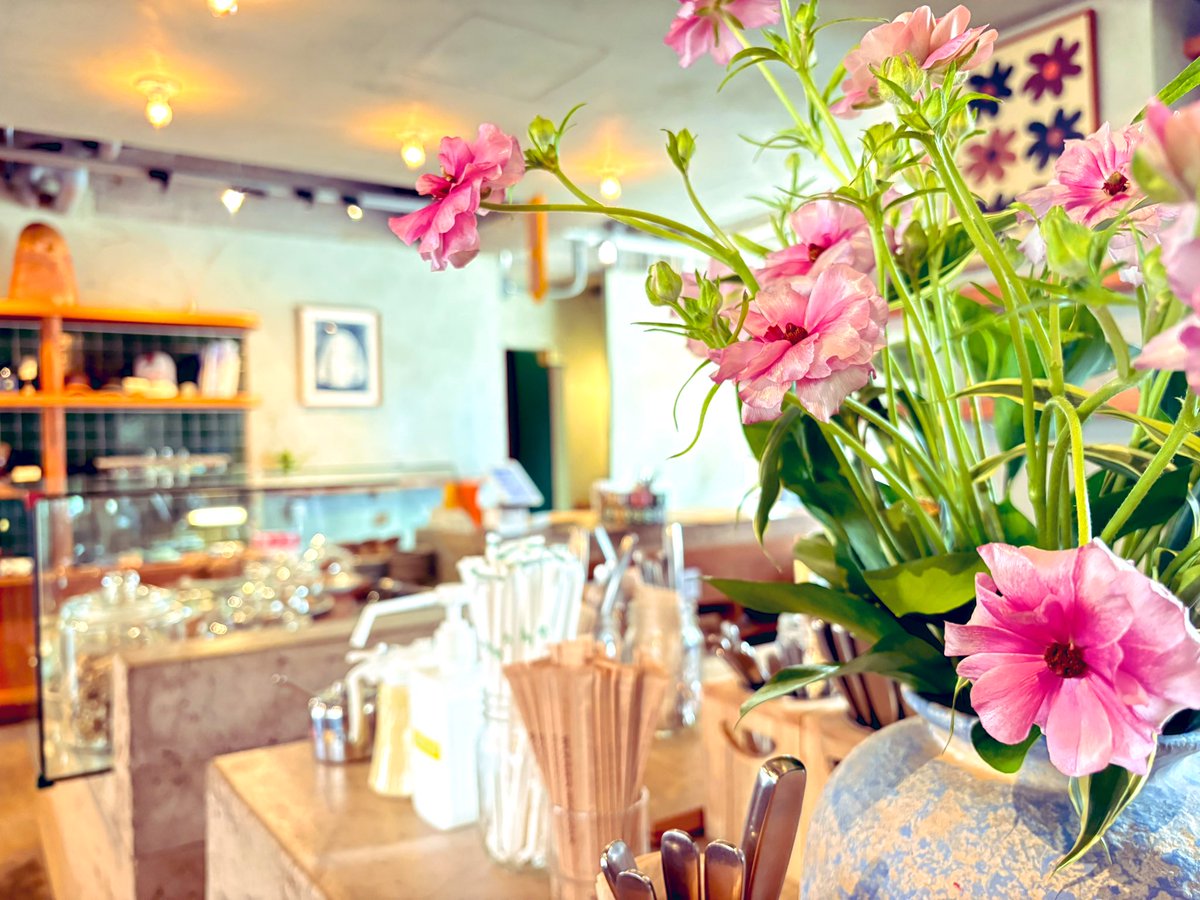 munemo99's tweet photo. 公園そばの素敵カフェ　最近増えてきて本当に嬉しい

大きな窓があって気持ちよさそうな公園側には案内してもらえず、次回に期待です
#朝食 #モーニング

人形町　パークレット Parklet
https://t.co/5FvnbaHJmm https://t.co/3KZLu0mehA