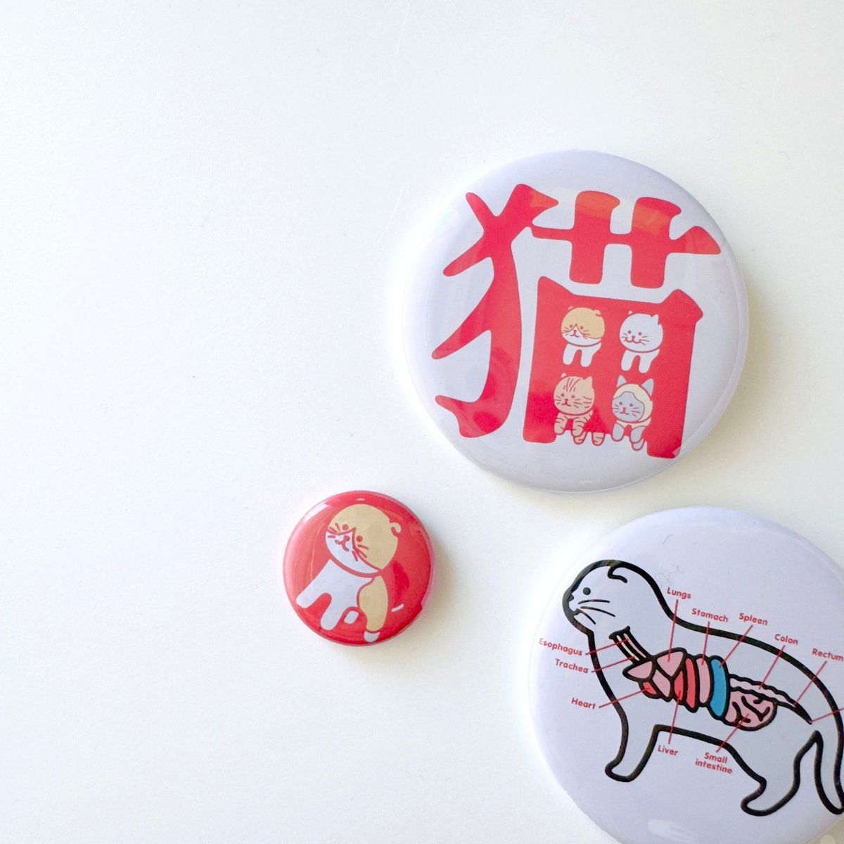 Online Coming soon 3.4 WED 20:00- 八重樫王明 缶バッジ 猫