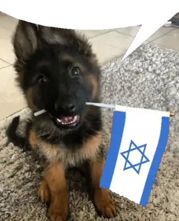 Alxp✝️ (@alxxxxp) on Twitter photo 