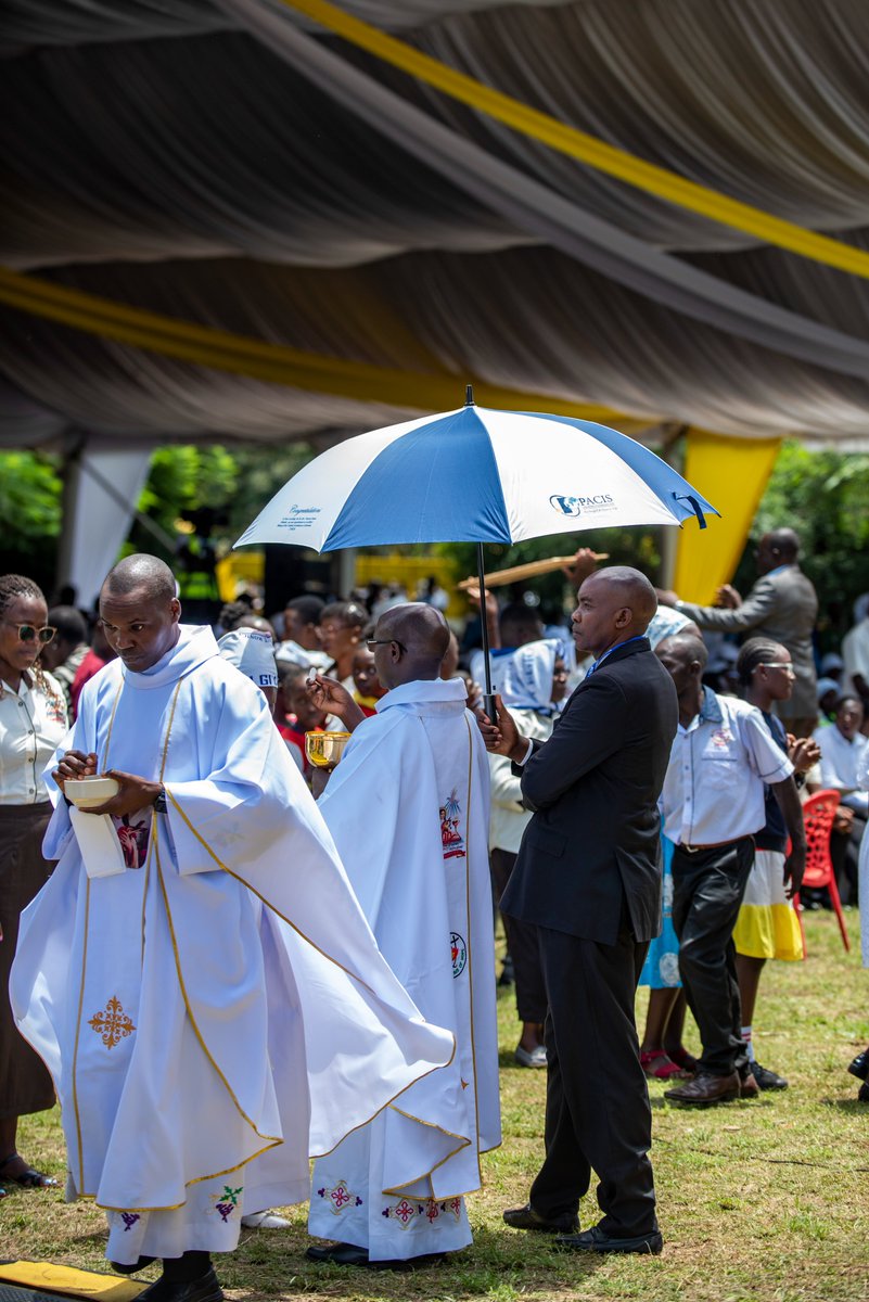 Pacis Insurance tweet media