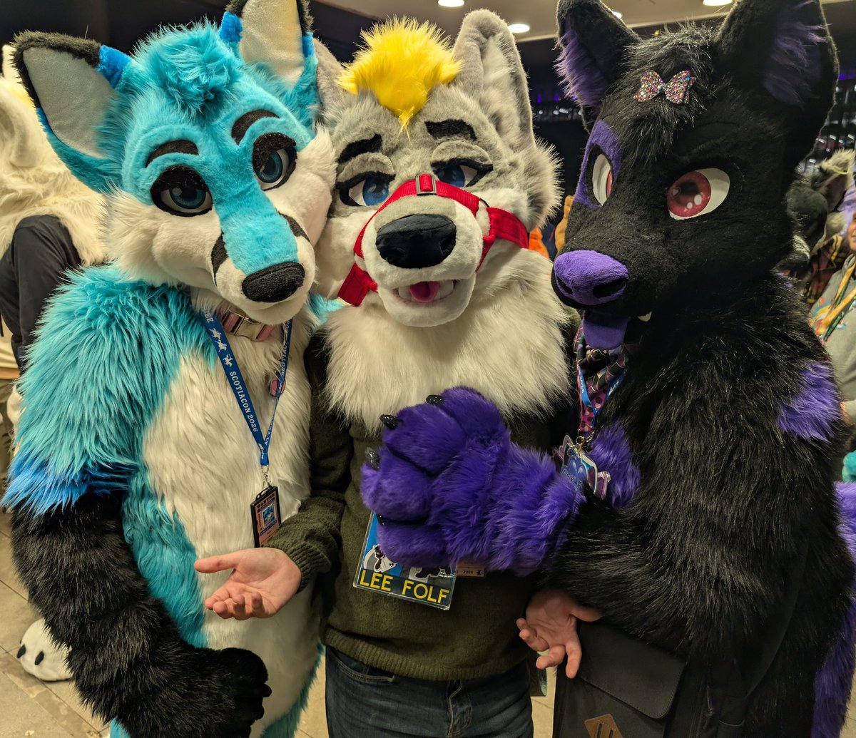 Lee Folf tweet media