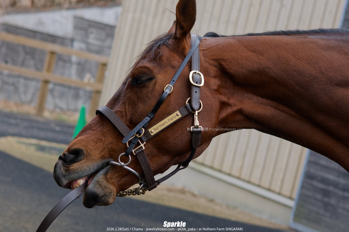 Aspen (@AxA25673064) / Posts / X