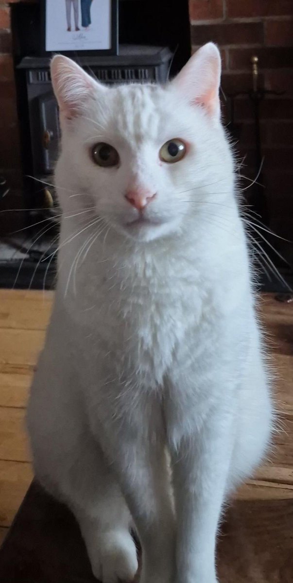 Marjorie Nash tweet media