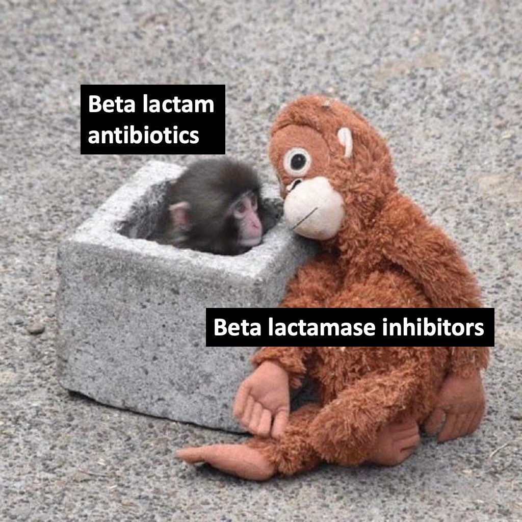 Classify Rx 📱 tweet media