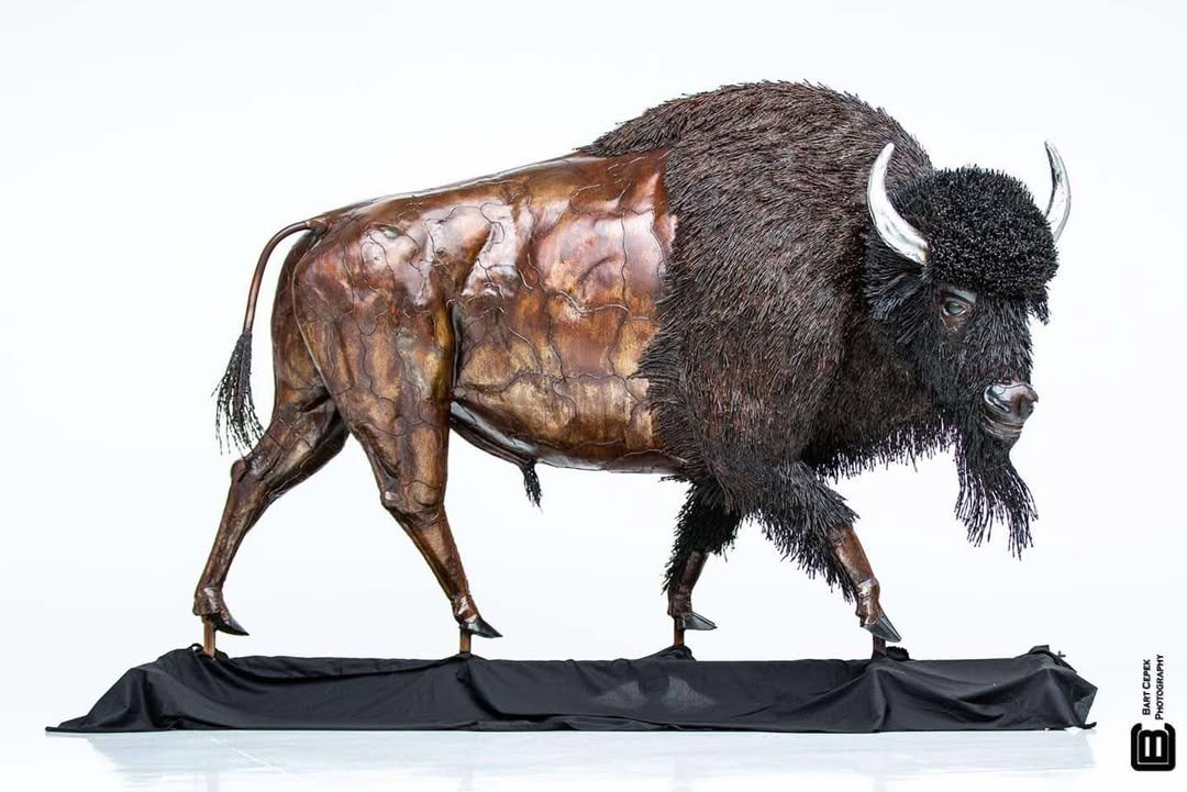 All About Bison tweet media