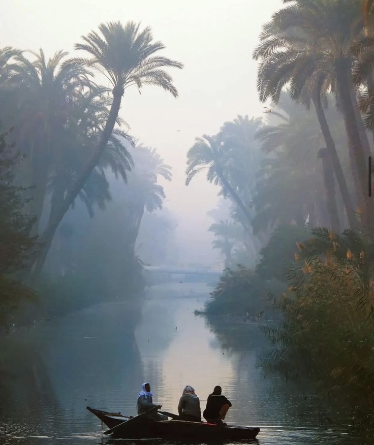 MENA Visuals tweet media