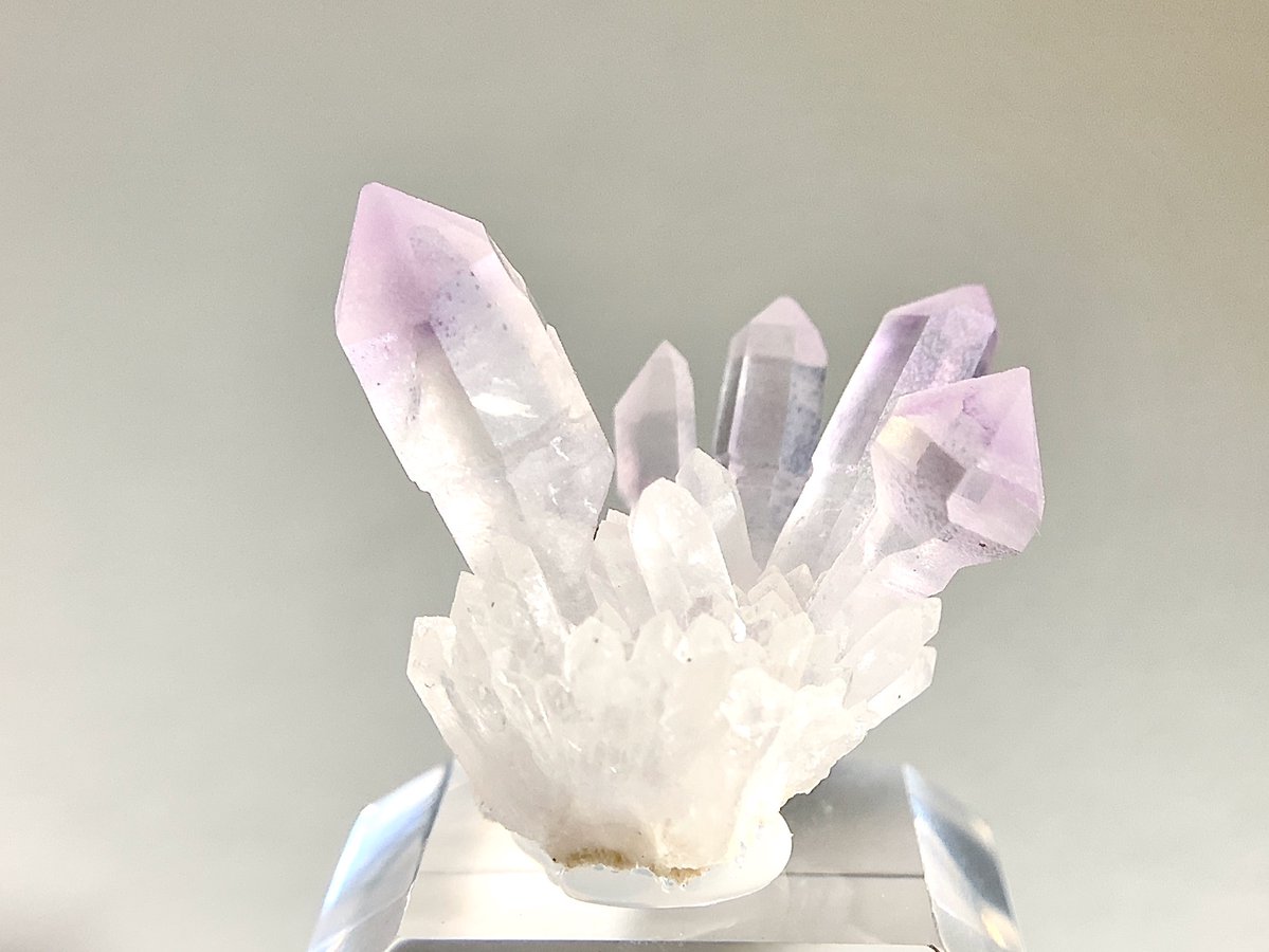 ブーケっぽい景色の石たち🌸 全方向かわいい! 何度も繰り返しアプして