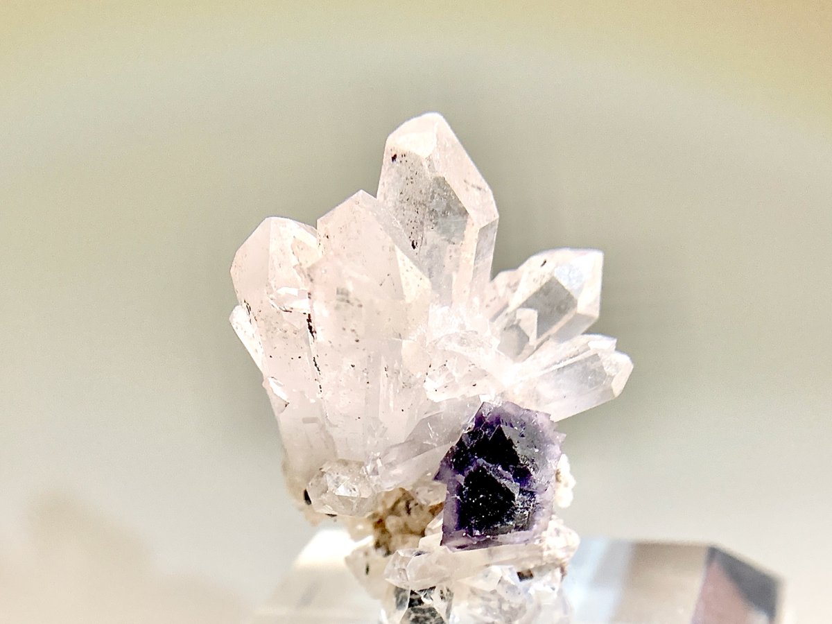 ブーケっぽい景色の石たち🌸 全方向かわいい! 何度も繰り返しアプして