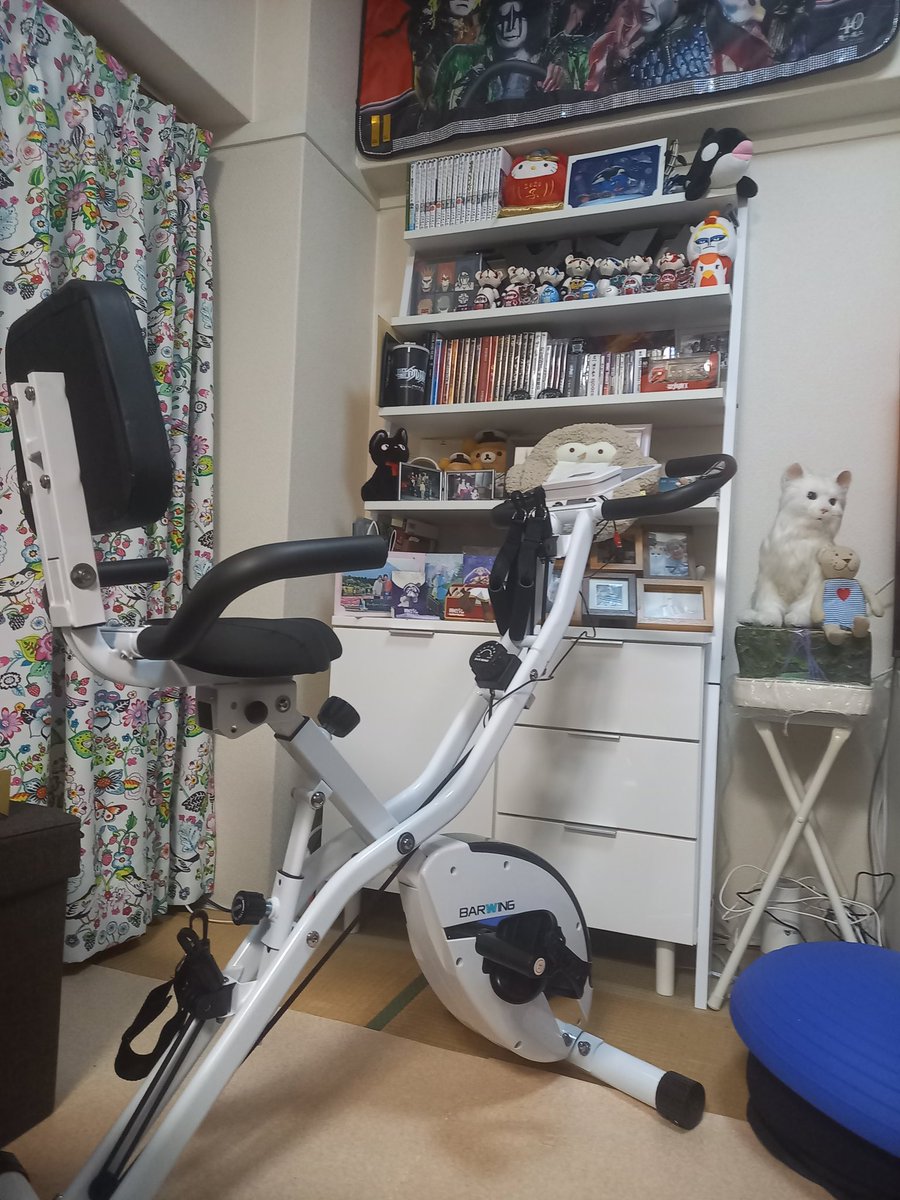 eikotmtmii0704's tweet photo. 脊椎狭窄症とエアロバイクは相性が良いと　届くのが遅かったけど組み立ててひとっ走り🚴付属に付いてるエクササイズバンドが善き
#BARWING https://t.co/FUtXMKazOC