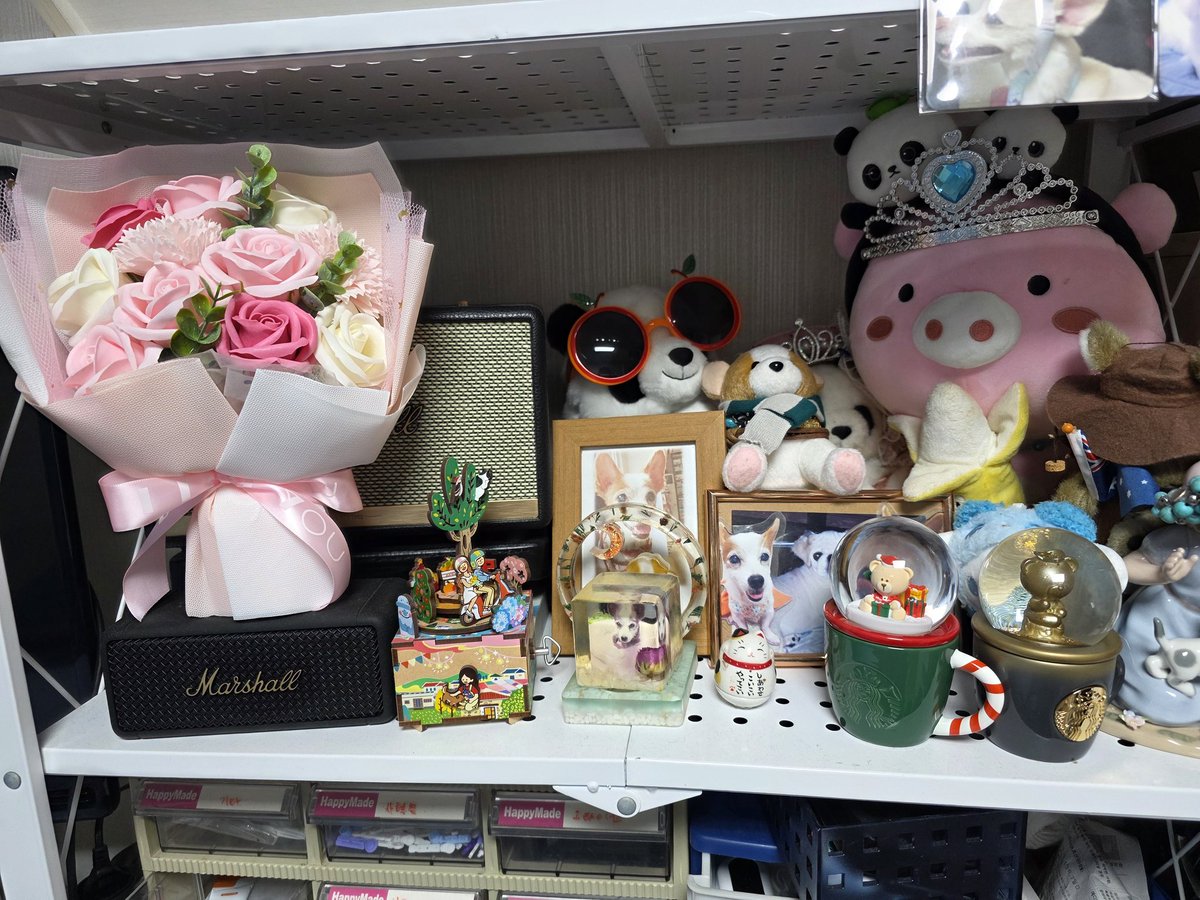 별이된 몽실.담비 (별몽실담비언니) tweet media