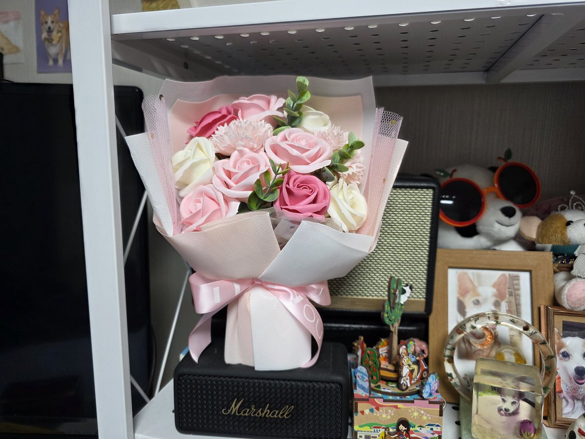 별이된 몽실.담비 (별몽실담비언니) tweet media