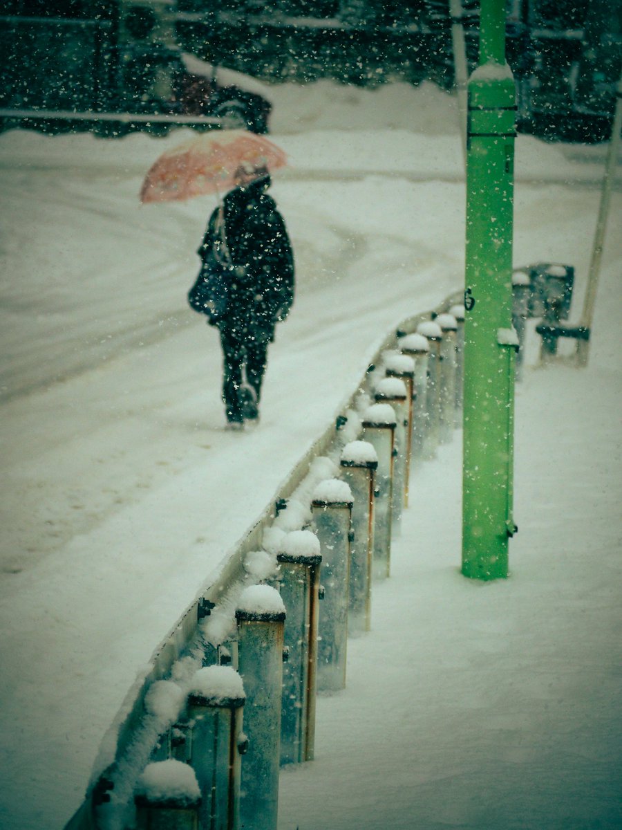 かむねま (@calmness_ofmind) on Twitter photo 