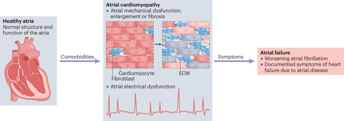 Nature Reviews Cardiology tweet media
