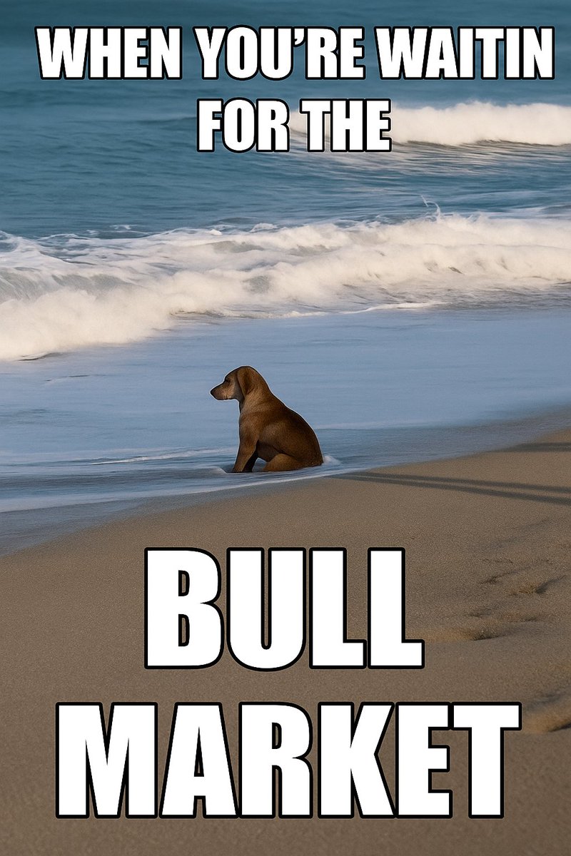 Dog In Pain $DIP tweet media